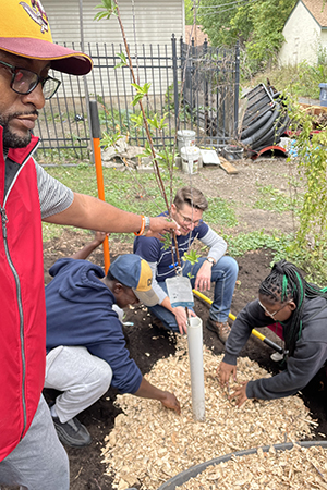 Group of people planting a young tree