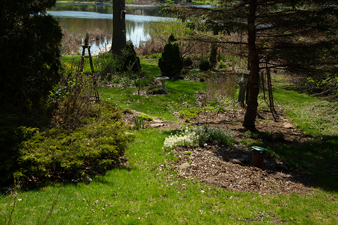 Yard with grass and gardens by a pond
